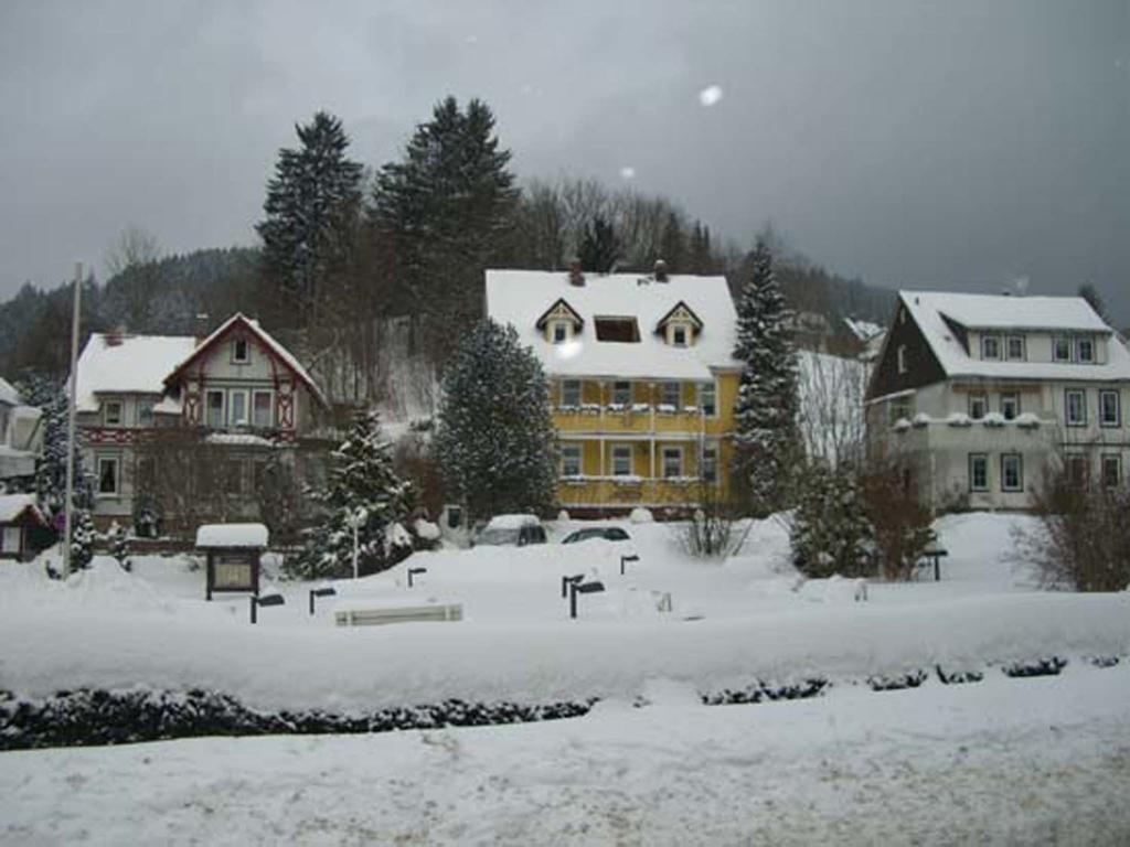 Erika'S Haus In Der Sonne Appartement Bad Grund Buitenkant foto