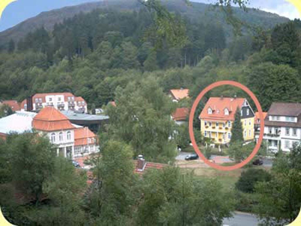 Erika'S Haus In Der Sonne Appartement Bad Grund Buitenkant foto