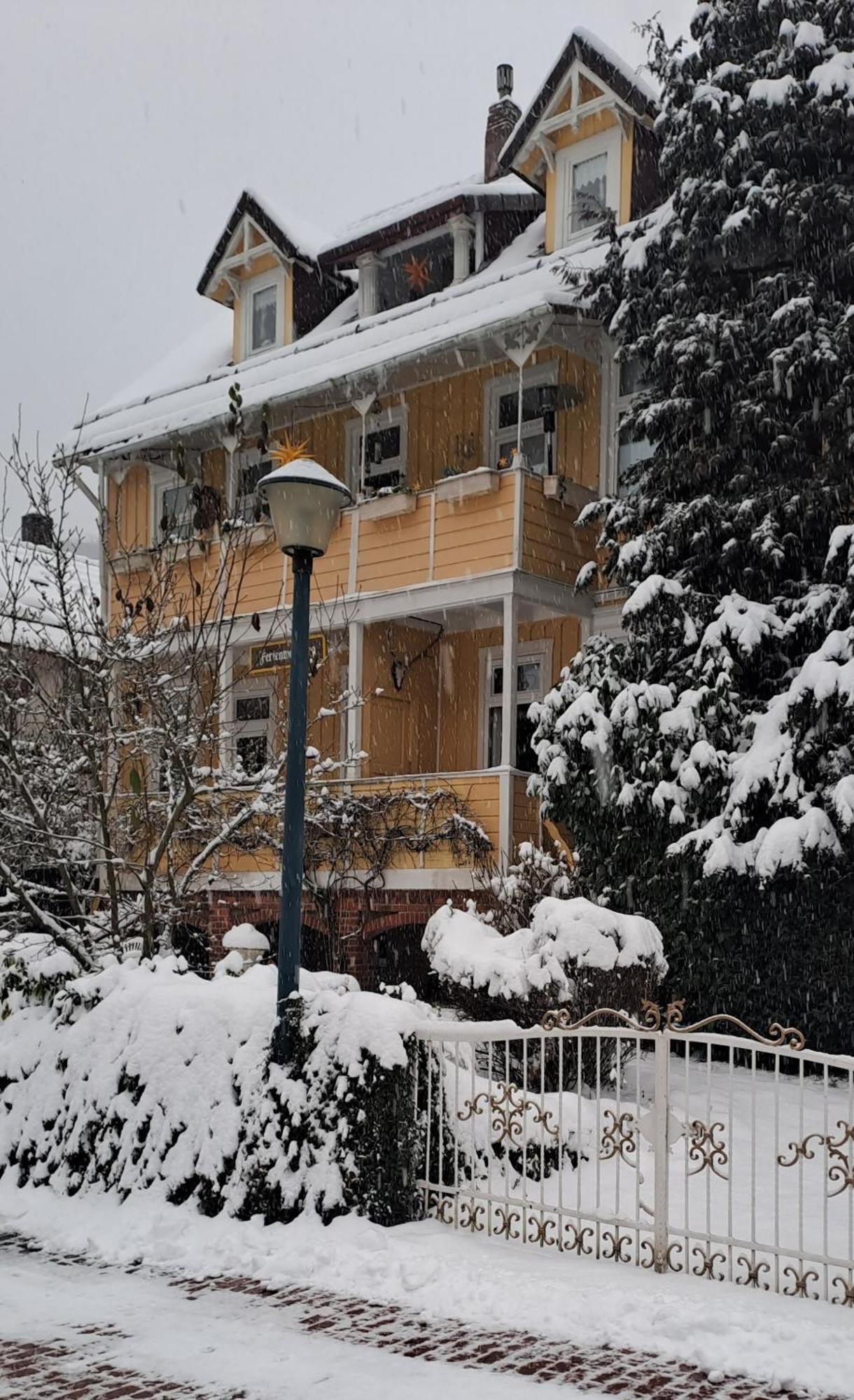 Erika'S Haus In Der Sonne Appartement Bad Grund Buitenkant foto
